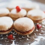 Macarons aux cynorhodons. Cueilleurs Sauvages