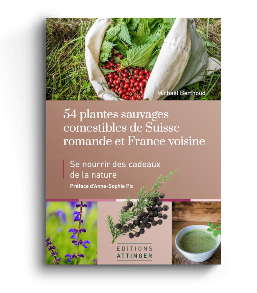 54 Plantes Sauvages de suisses romande et france voisine, Michaël Berthoud