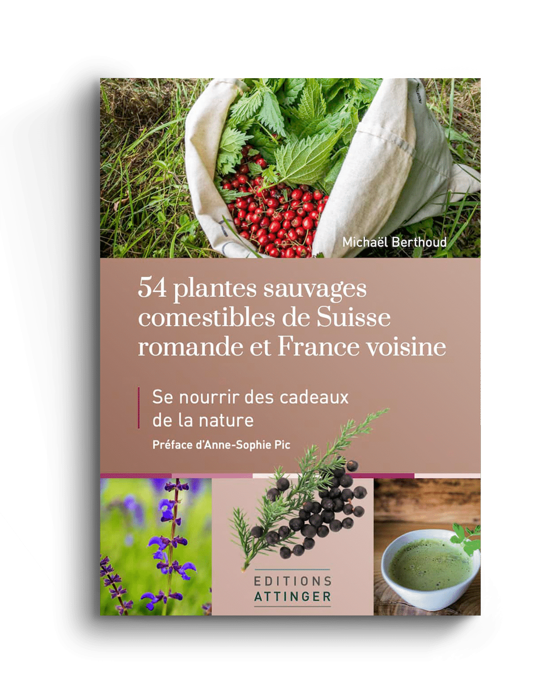 Les 12 plantes sauvages toxiques à connaître! Cueilleurs Sauvages — free download