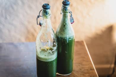 Sirop de plantain frais macéré durant une nuit.