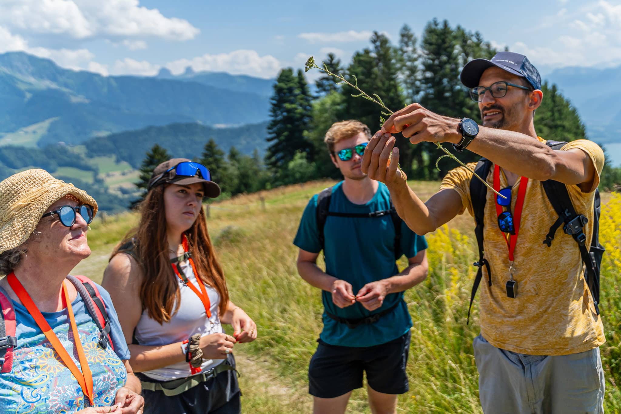 Cours en groupe sur les plantes sauvages aux Pléiades