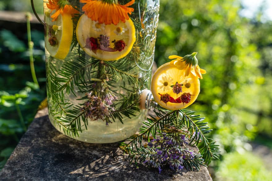 Limonade sylvestre " lutins des bois" au sapin blanc et citron