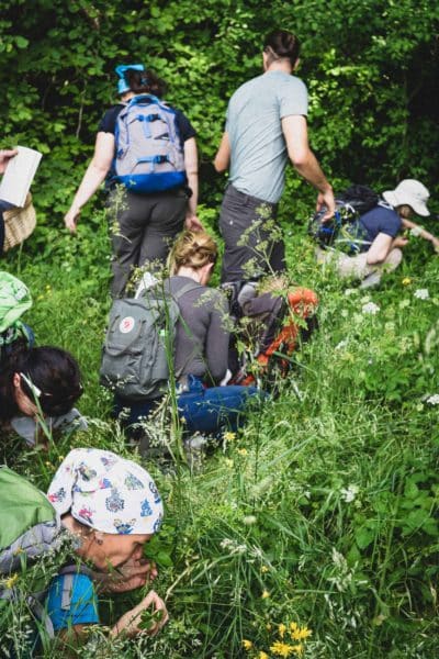 Cours sur les plantes sauvages à la Sarraz (VD), Cueilleurs Sauvages