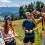 Formation Plantes Sauvages niveau 2 avec Michaël Berthoud