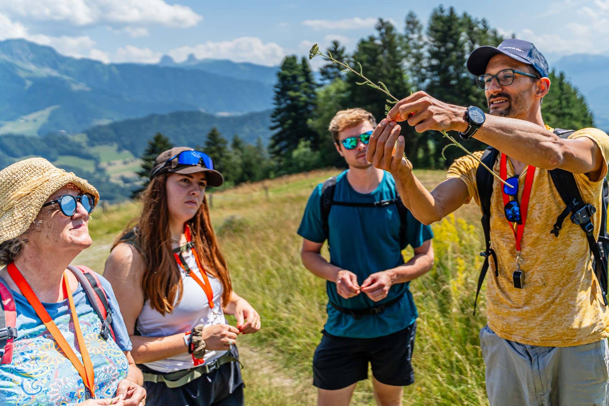 Formation Plantes Sauvages niveau 2 avec Michaël Berthoud