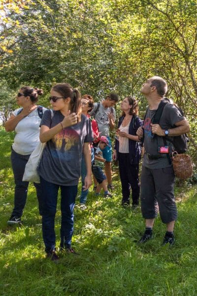 Cours de reconnaissance des arbres