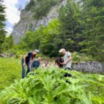 Formation au fil des saisons cycle 2 - Cueilleurs Sauvages