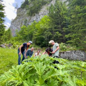 Formation au fil des saisons cycle 2 - Cueilleurs Sauvages
