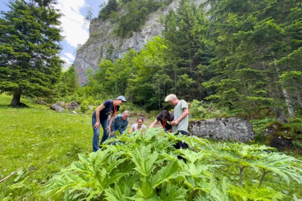 Formation au fil des saisons cycle 2 - Cueilleurs Sauvages