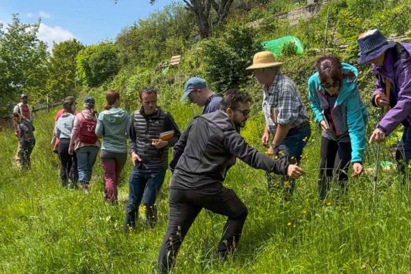 Formation de cueillette sauvage. Cueilleurs Sauvages