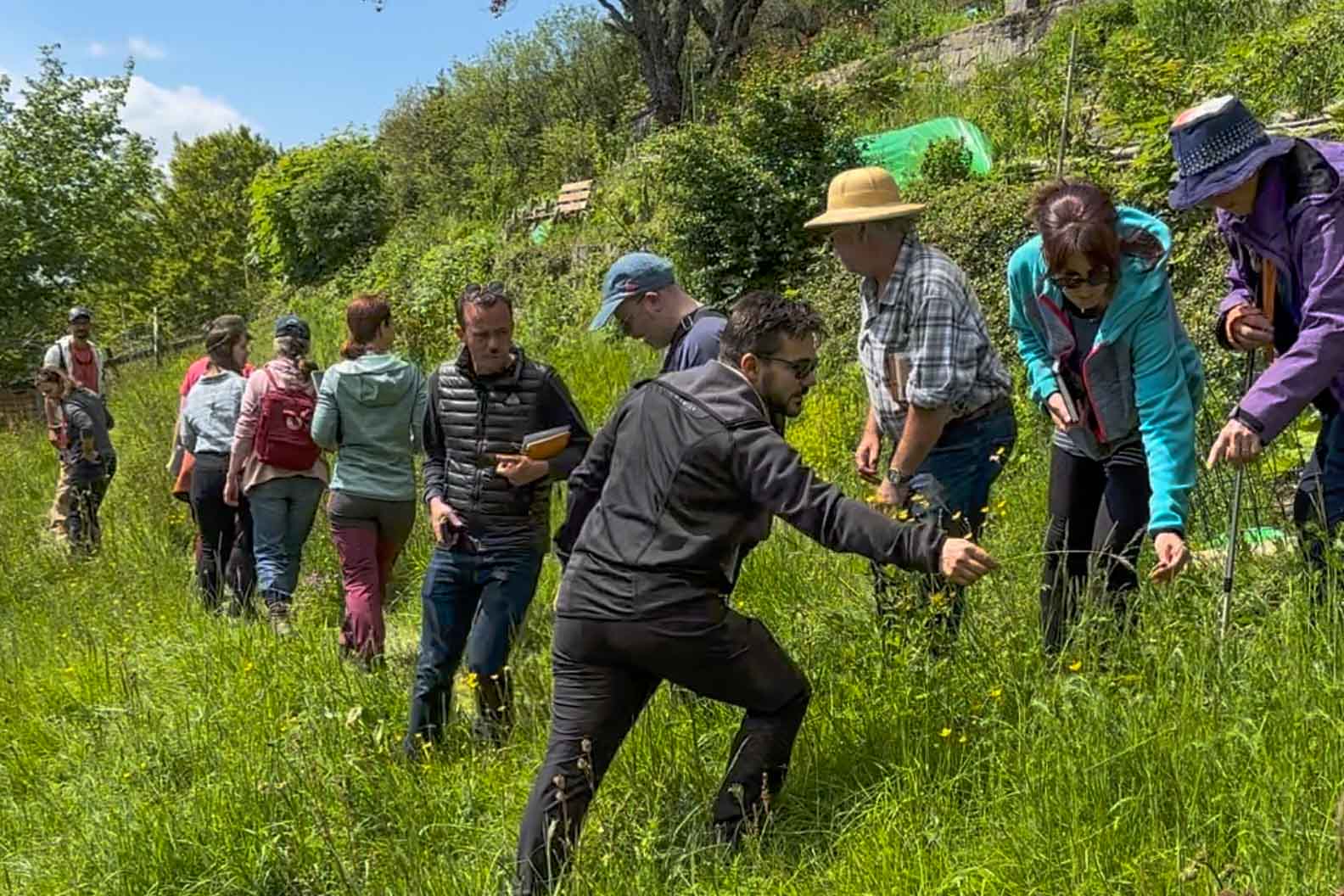 Formation de cueillette sauvage. Cueilleurs Sauvages