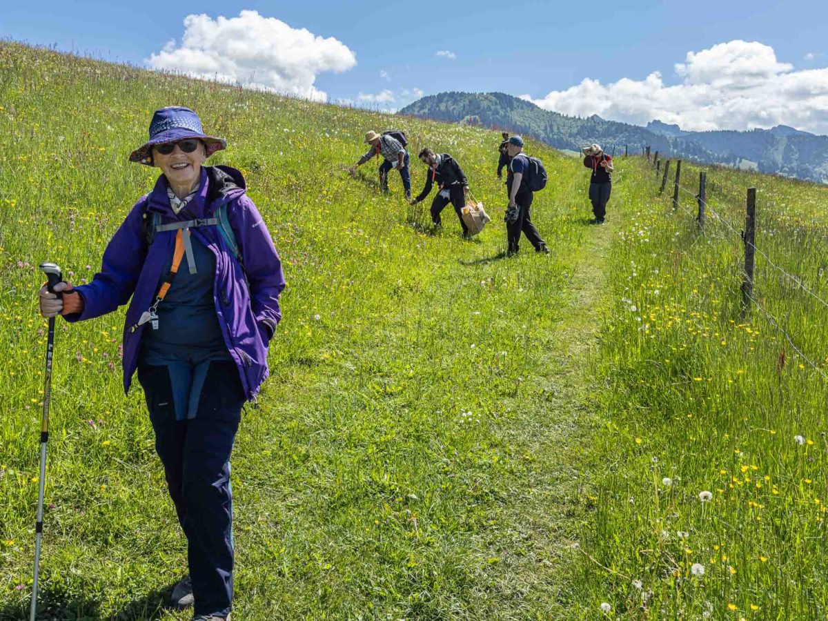 Formation au fil des saisons cycle 1 - Cueilleurs sauvages