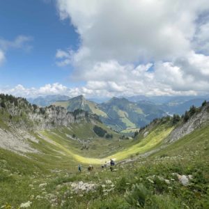 Randonnée de découverte des plantes comestibles et médicinales au col de Chaude
