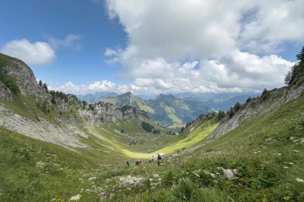 Randonnée de découverte des plantes comestibles et médicinales au col de Chaude