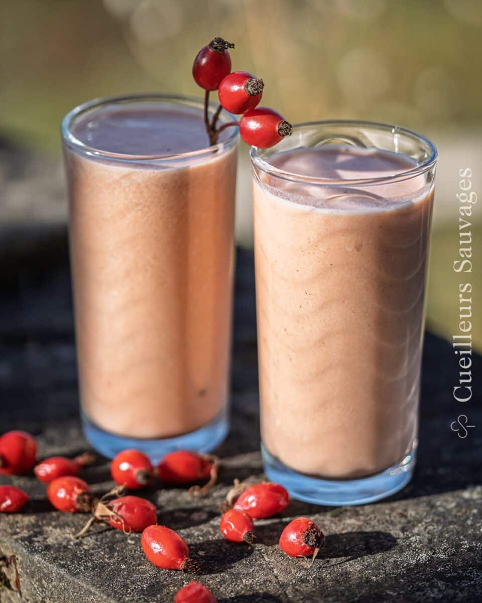 Smoothie aux cynorhodons. Recette de Cueilleurs Sauvages