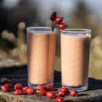 Smoothie aux cynorhodons. Recette de Cueilleurs Sauvages