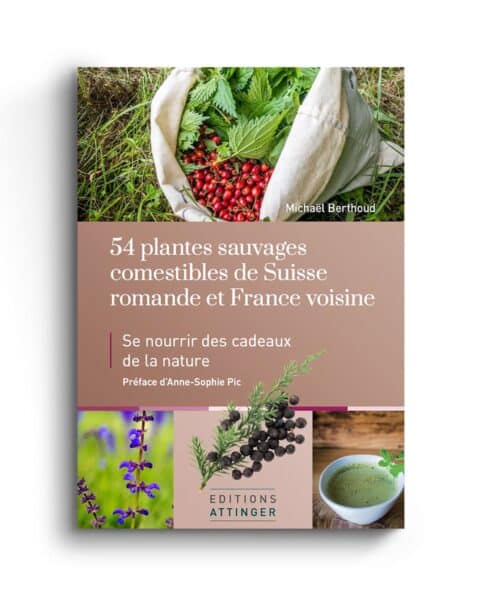 Featured image for “54 Plantes sauvages comestibles de Suisse romande et de France voisine”