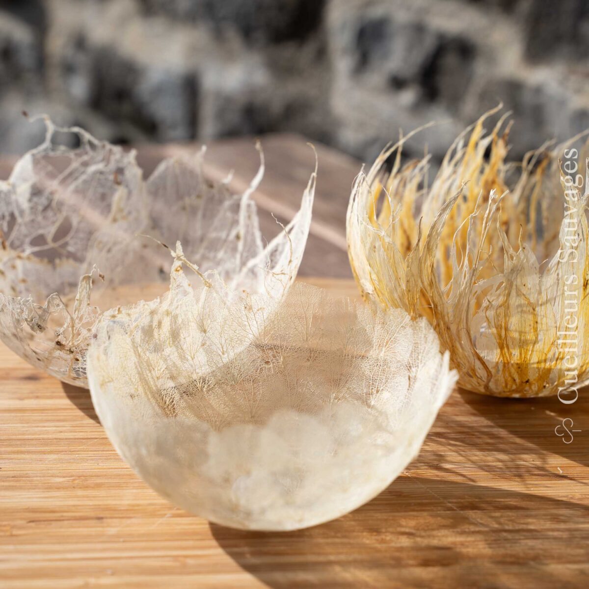 Bol en feuilles squelettes nervures michael berthoud A742407