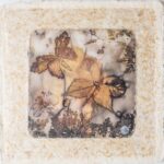 Image à la une  pour “Impression botanique à la marmite de rouille”