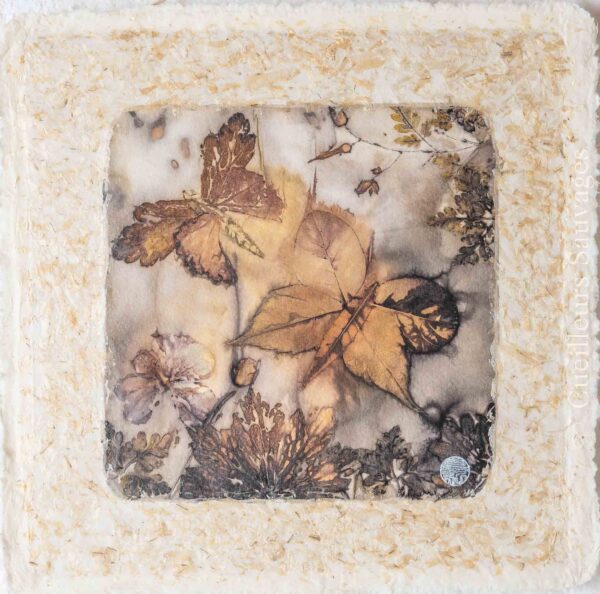 Image à la une pour“Impression botanique à la marmite de rouille”