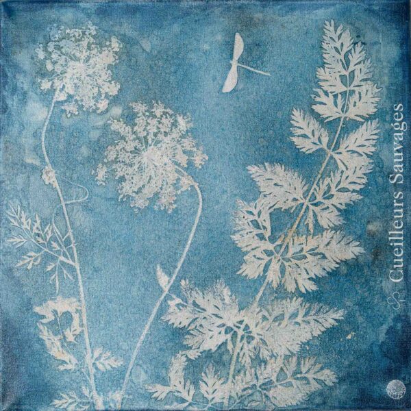 Exposision art-nature Marie Mellioret 2026