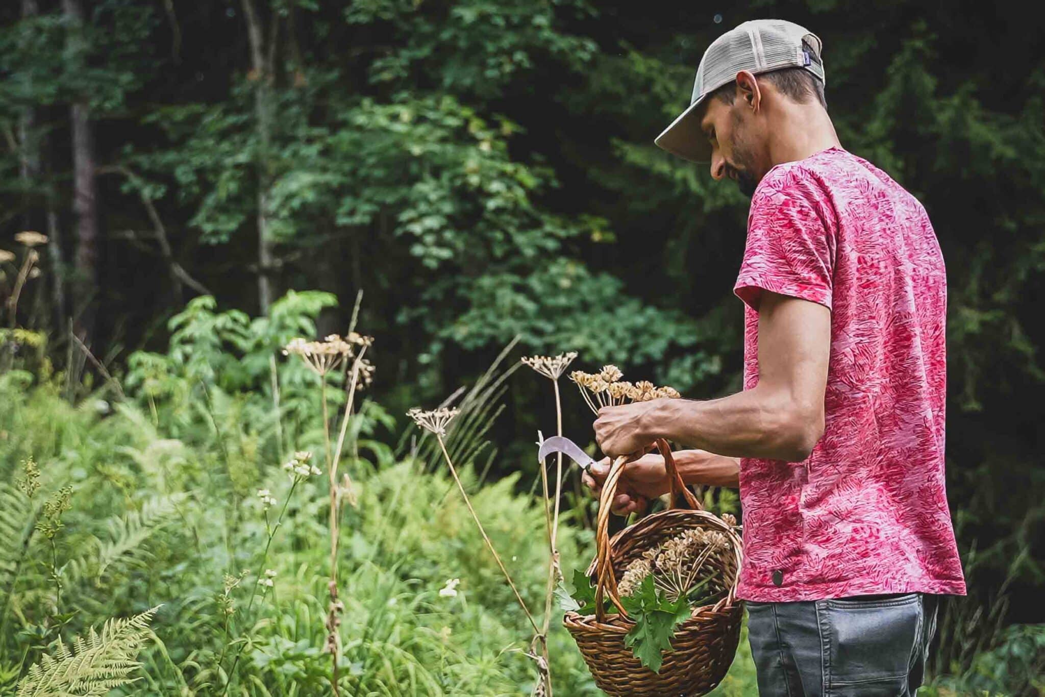 Voyage à la rencontre des plantes